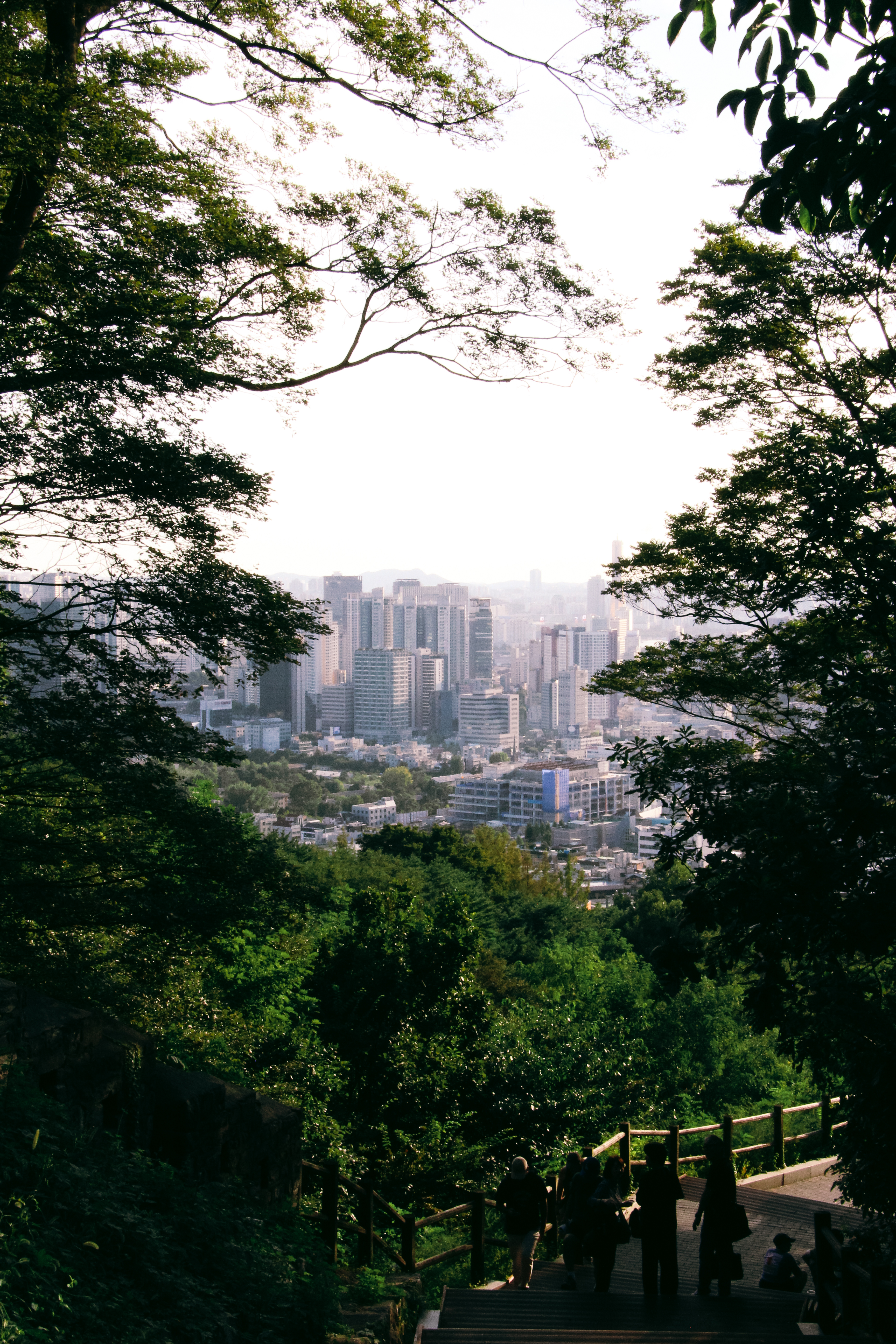 Landscape category
